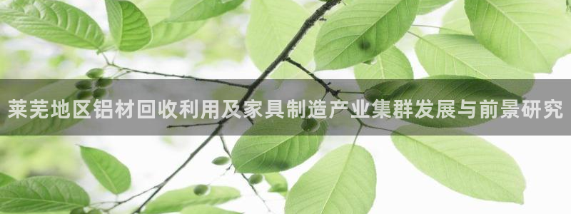 沐鸣2平台官网
