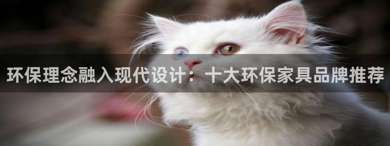 沐鸣2平台登录入口：环保理念融入现代设计：十大环保家具品牌推