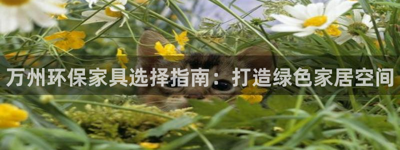 沐鸣2官网网站