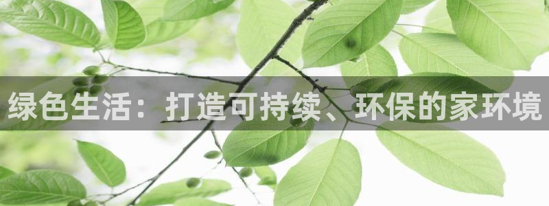 沐鸣2平台官网下载：绿色生活：打造可持续、环保的家环境