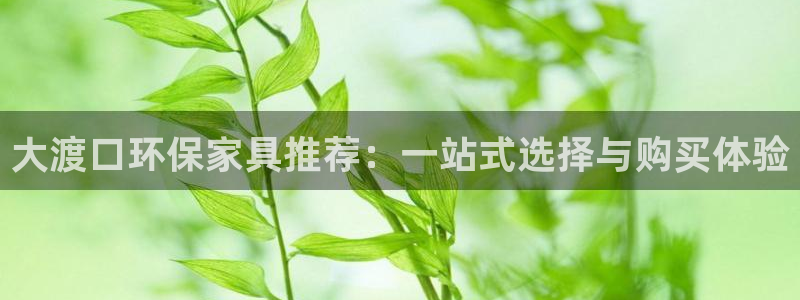 沐鸣2平台手机下载：大渡口环保家具推荐：一站式选择与购买体验
