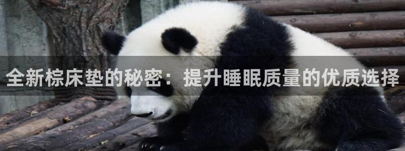 沐鸣2平台线路测速：全新棕床垫的秘密：提升睡眠质量的优质选择