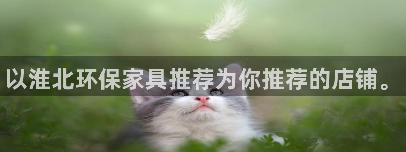 沐鸣2代理官网：以淮北环保家具推荐为你推荐的店铺。